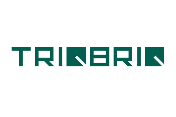 TRIQBRIQ AG Logo